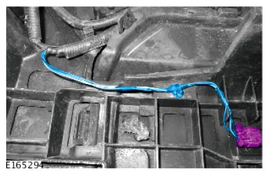 G09535594