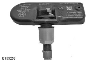 G10049619