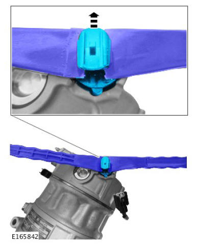 G10610281