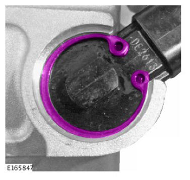 G10610286