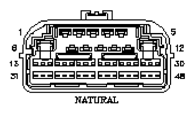G11047793