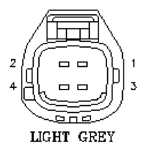 G11047891