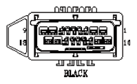 G11048339